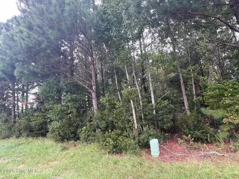 137 Days Landing Road Merritt NC 28556