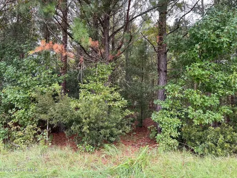 137 Days Landing Road Merritt NC 28556