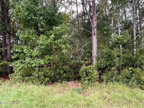 137 Days Landing Road Merritt NC 28556