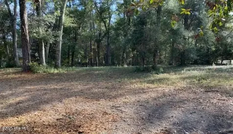 9131 Forest Drive SW Sunset Beach NC 28468