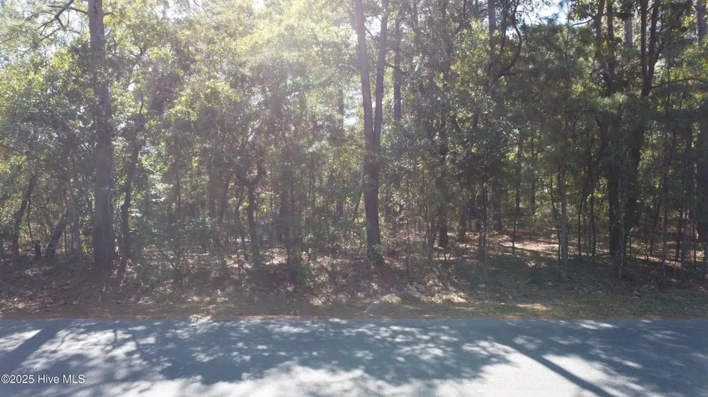Lot 47 Ward Drive Dudley NC 28333