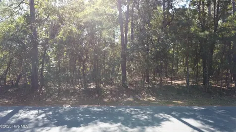 Lot 47 Ward Drive Dudley NC 28333