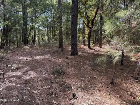 Lot 47 Ward Drive Dudley NC 28333