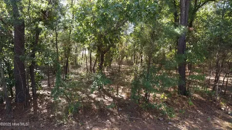 Lot 47 Ward Drive Dudley NC 28333