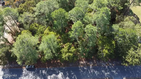 Lot 47 Ward Drive Dudley NC 28333
