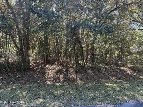 902 Firefly Court New Bern NC 28560