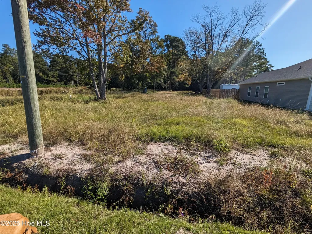 933 Hickman Road Tabor City NC 28463