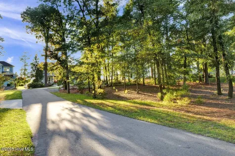 3623 White Cliffs Drive Castle Hayne NC 28429