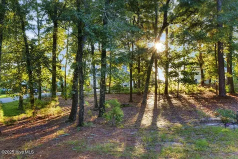 3623 White Cliffs Drive Castle Hayne NC 28429