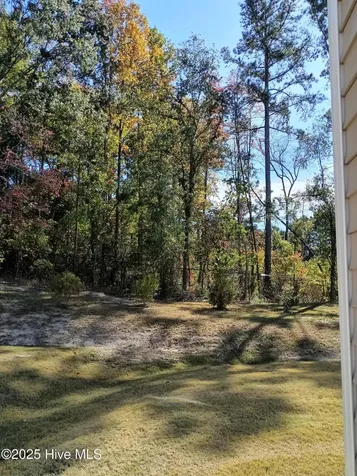 3010 Alibird Lane Carthage NC 28327
