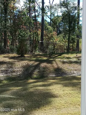 3010 Alibird Lane Carthage NC 28327