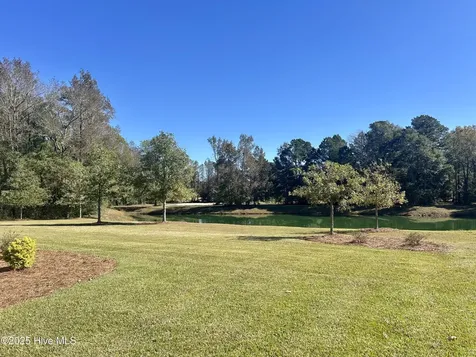 141 Sycamore Lakes Drive Wallace NC 28466