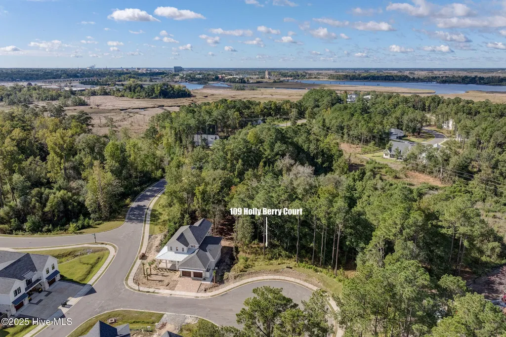 109 Holly Berry Court Wilmington NC 28401