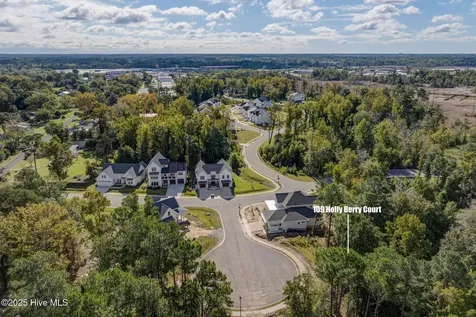 109 Holly Berry Court Wilmington NC 28401