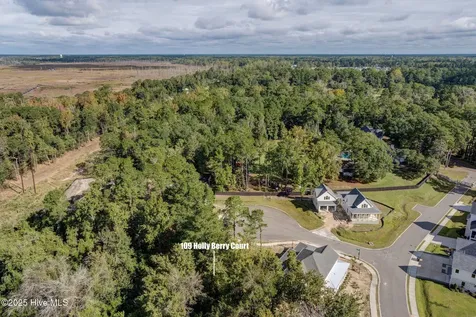 109 Holly Berry Court Wilmington NC 28401