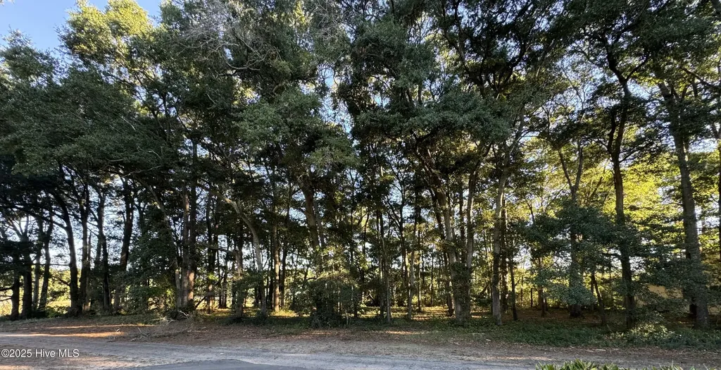 594 Medcalf Drive SW Sunset Beach NC 28468
