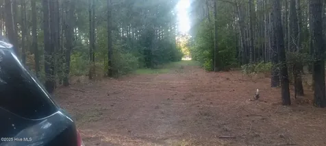 0 Highway 53 Burgaw NC 28425