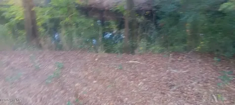0 Highway 53 Burgaw NC 28425