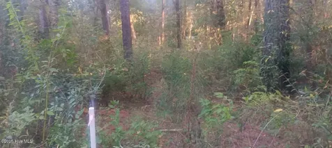 0 Highway 53 Burgaw NC 28425