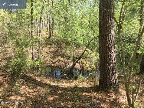 0 Highway 53 Burgaw NC 28425