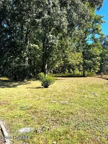 1817 Cobb Road Kinston NC 28501