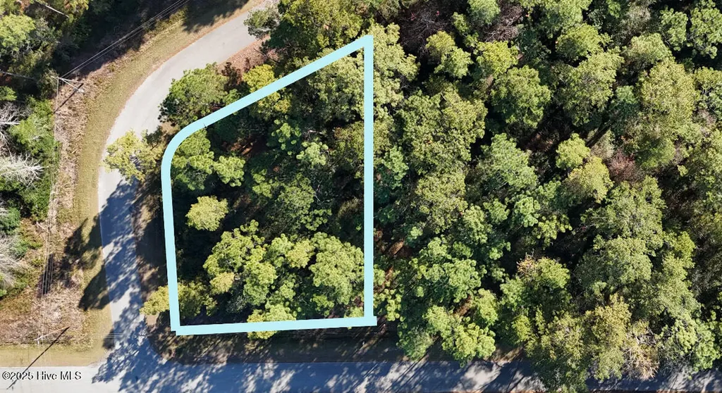 Lot 204 Masters Drive Boiling Spring Lakes NC 28461