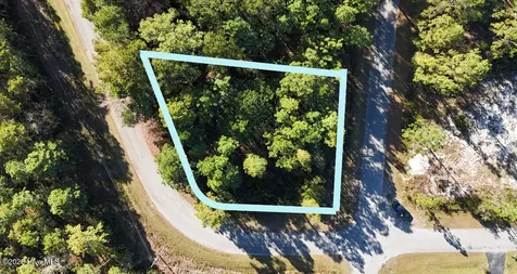 Lot 204 Masters Drive Boiling Spring Lakes NC 28461