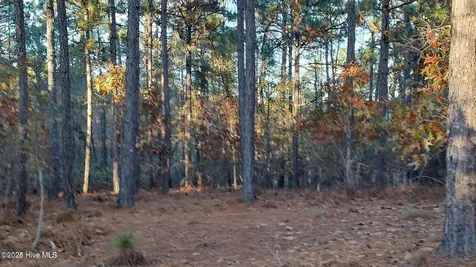 4 Brassie Circle Jackson Springs NC 27281