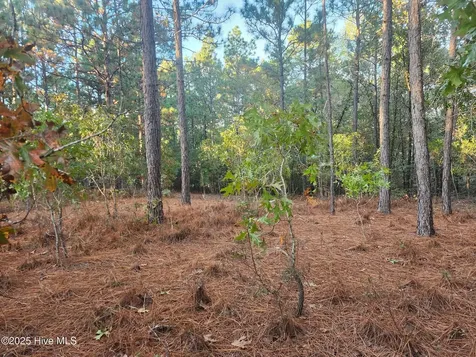 4 Brassie Circle Jackson Springs NC 27281