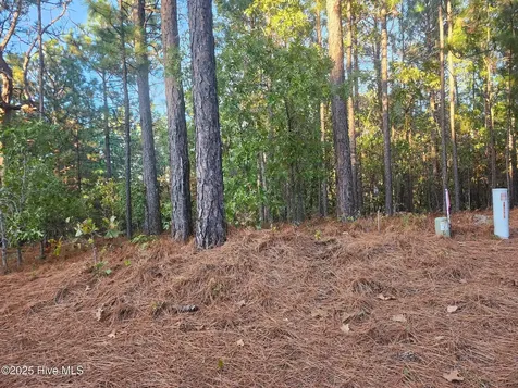 4 Brassie Circle Jackson Springs NC 27281