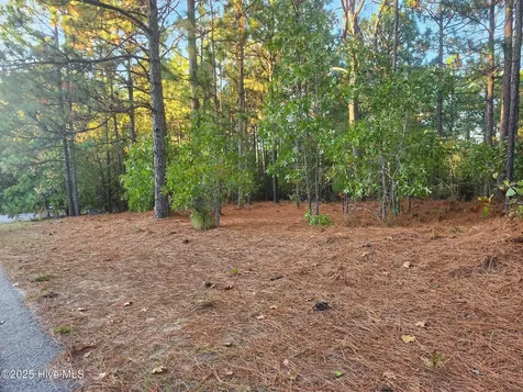 4 Brassie Circle Jackson Springs NC 27281