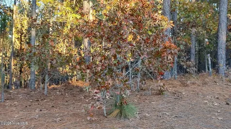 4 Brassie Circle Jackson Springs NC 27281