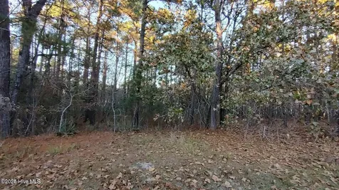 4 Brassie Circle Jackson Springs NC 27281