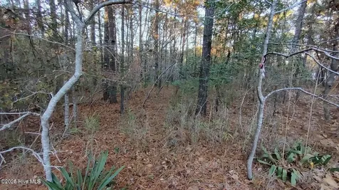 4 Brassie Circle Jackson Springs NC 27281