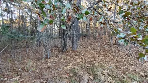4 Brassie Circle Jackson Springs NC 27281