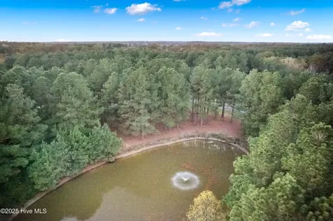 223 Plumtree Circle Edenton NC 27932