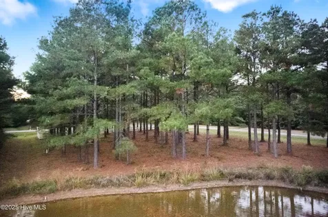 223 Plumtree Circle Edenton NC 27932