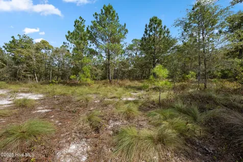 0 Green Swamp Road NW Road NW Supply NC 28462