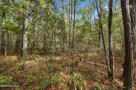 0 Green Swamp Road NW Road NW Supply NC 28462
