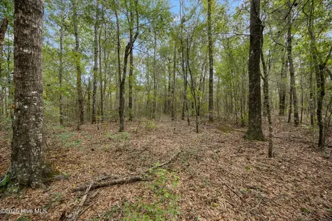 0 Green Swamp Road NW Road NW Supply NC 28462