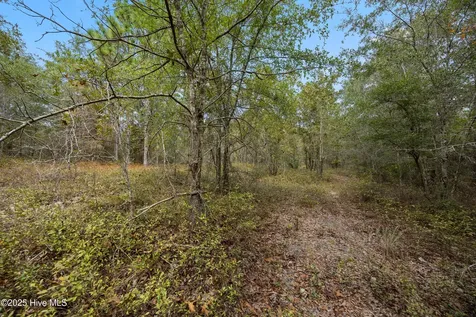 0 Green Swamp Road NW Road NW Supply NC 28462