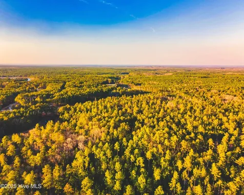 Trt 8 Peach Orchard Road Wagram NC 28396