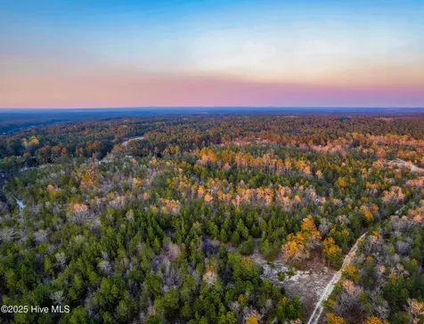 Hwy 15/501 Wagram NC 28396