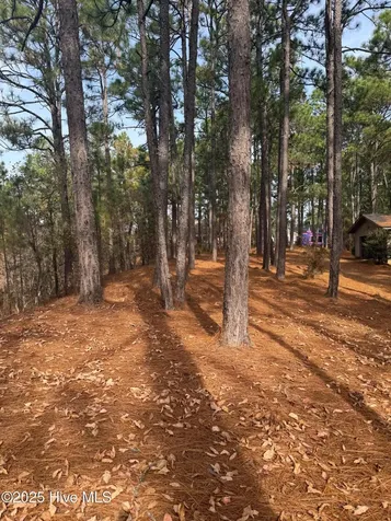 106 Parker Court West End NC 27376