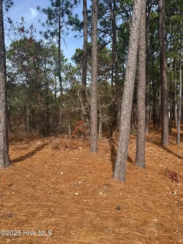 106 Parker Court West End NC 27376