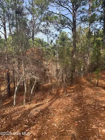 106 Parker Court West End NC 27376