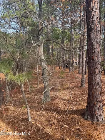 106 Parker Court West End NC 27376