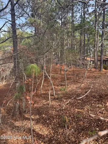 106 Parker Court West End NC 27376