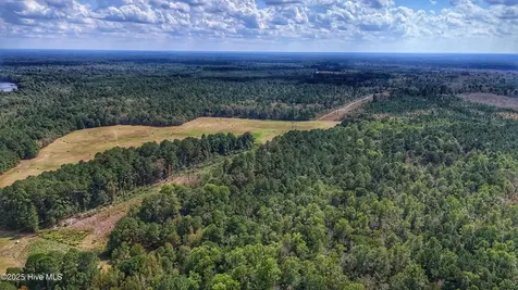 0 Burney Road White Oak NC 28399