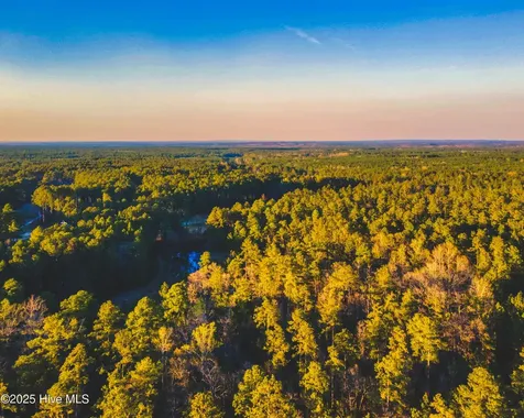 Trt 9 Peach Orchard Road Wagram NC 28396